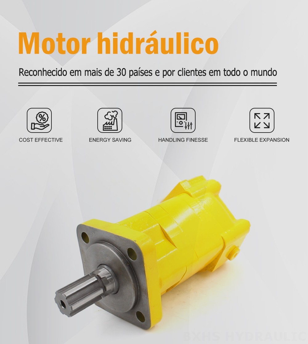 Motor Hidráulico Cicloidal BM5_2 100 cc/r 75 Lpm Motor hidráulico
